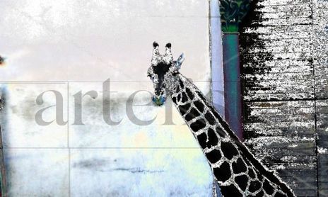 ANIMALS
