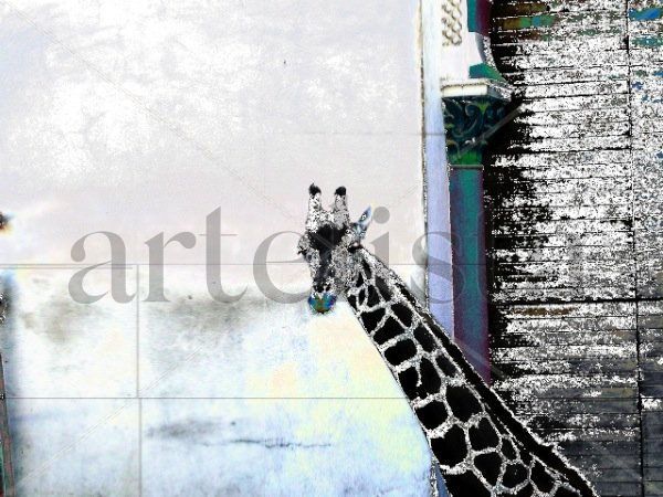 JARDÍN ZOOLÓGICO I