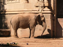 JARDíN ZOOLÓGICO II