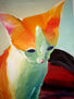 el gato