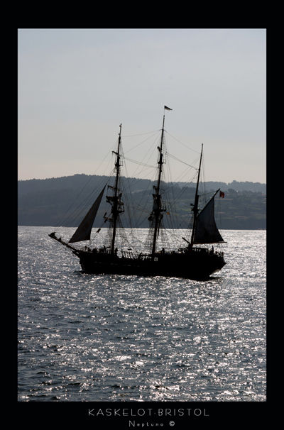 kaskelot
