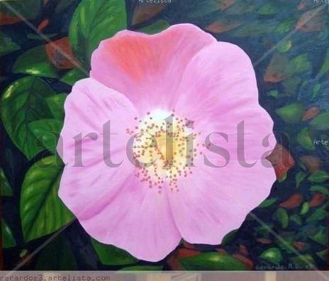 Flor Rosa