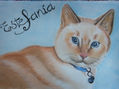 La gata de Estefania