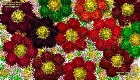 Jardin de flores