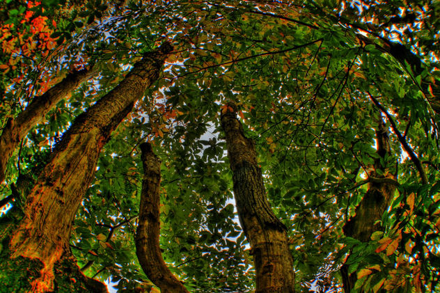 OTOÑO 2