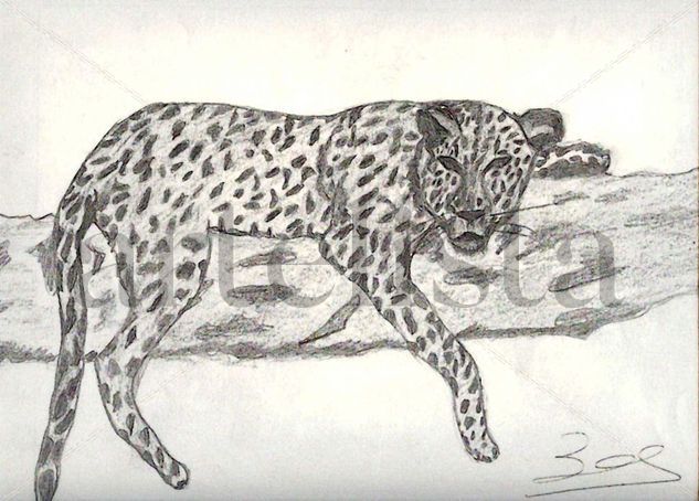 LLEOPARD BADANT,....... Charcoal