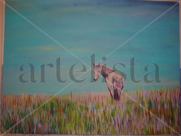 campo