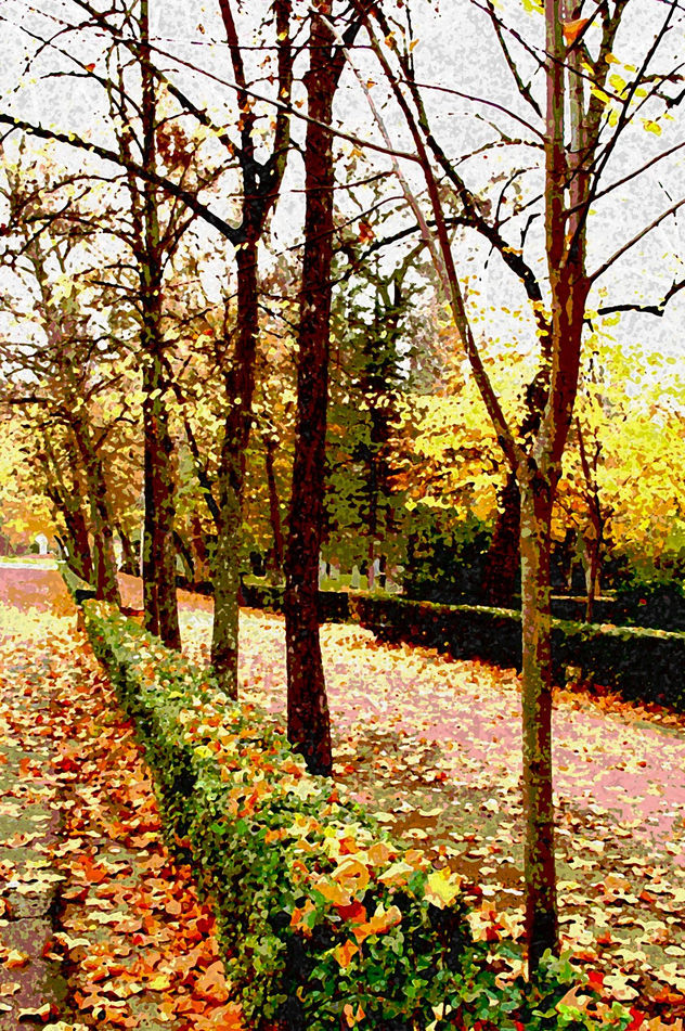 JARDIN ARANJUEZ