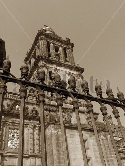 catedral de la ciudad de México 