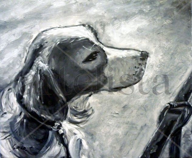 perro Oil Canvas Animals