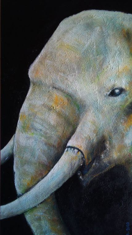Elefante ii