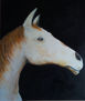 EL CABALLO DE JM