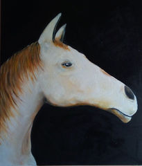El caballo de jm