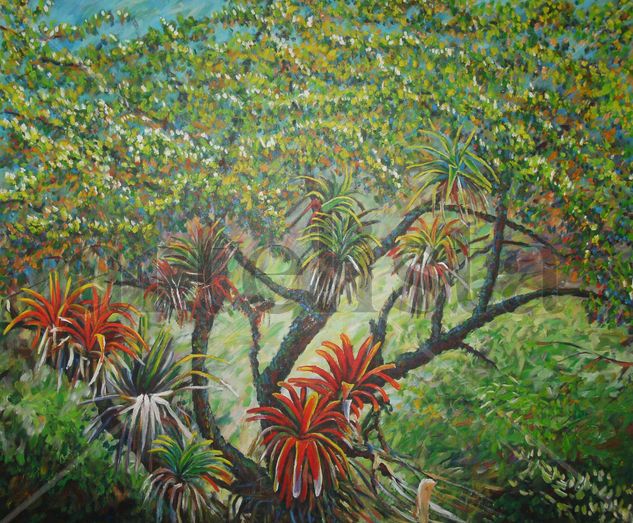 DOCE KYCHES Oil Canvas Landscaping