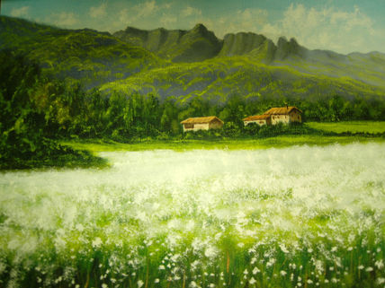 Campo de alforfon