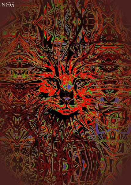 Gato salvaje