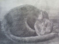 My cat ( mi gato)