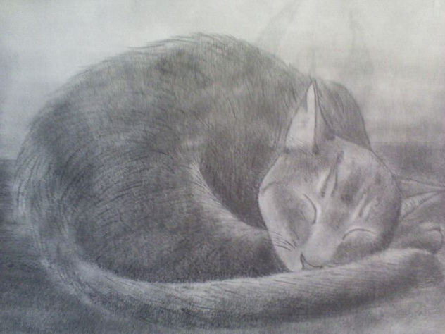 my cat ( mi gato)