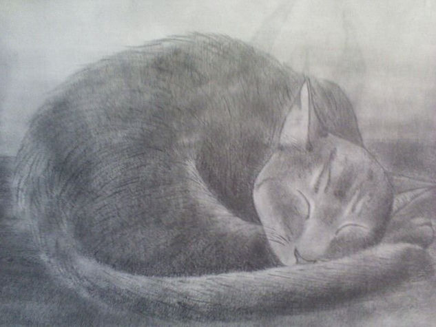 my cat ( mi gato) Charcoal