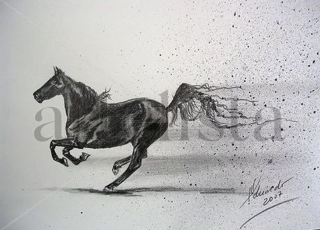 Horse