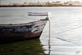 rio barbate