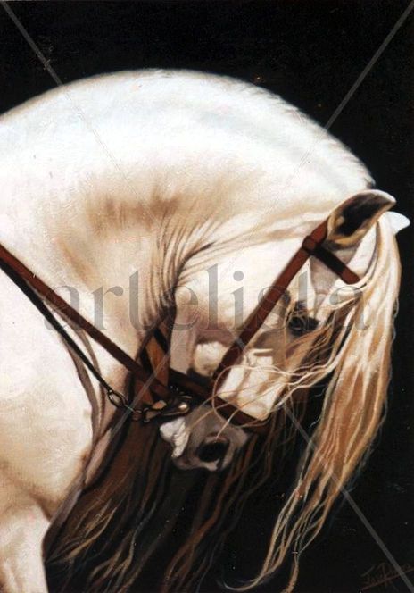 Caballo