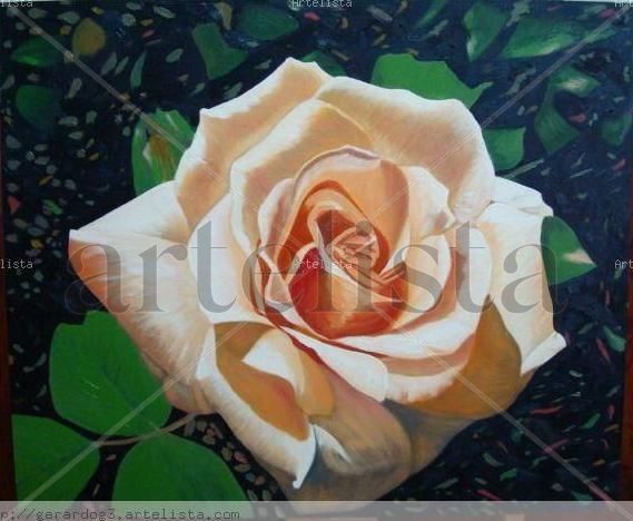 Rosa Oil Canvas Floral Painting