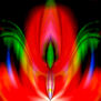 Serie Espiritualidad (40992)