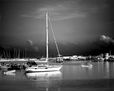 Palo mayor en negro (40x50)