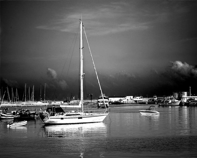 Palo mayor en negro (40x50)