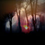 Serie Atardeceres (28447)