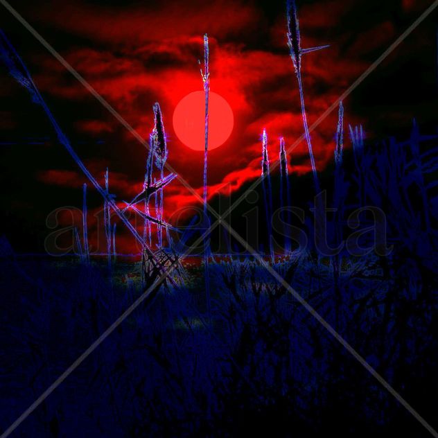 Serie Atardeceres (40516)