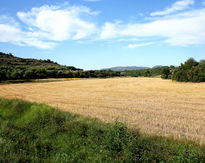 Manto amarillo (40x50)