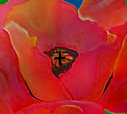 Flor de la  muerte