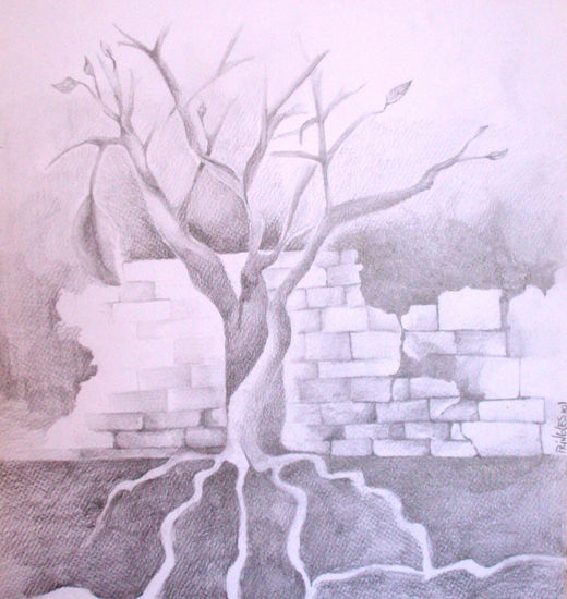 "Arbol" 