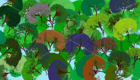 Bosque en primavera