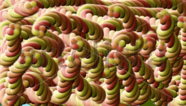 tirabuzones de vegetales
