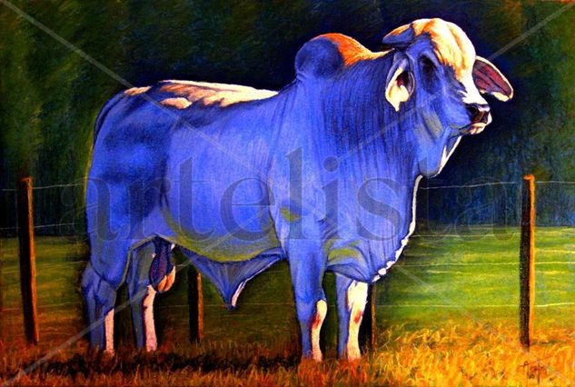 Nelore Pastel Canvas Animals