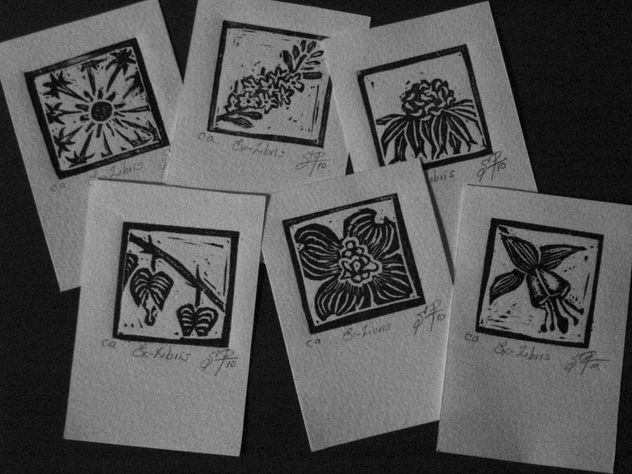 flores