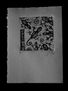 ex libris (lagartijas)