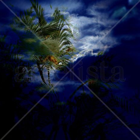 Serie "Atardeceres"...