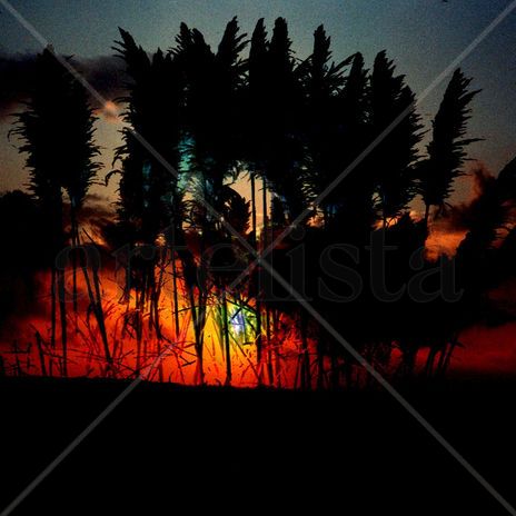 Serie "Atardeceres"...
