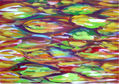 piscistrato 2