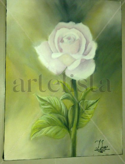 simplemente rosa Oil Canvas Floral Painting