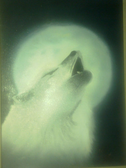 Luna llena