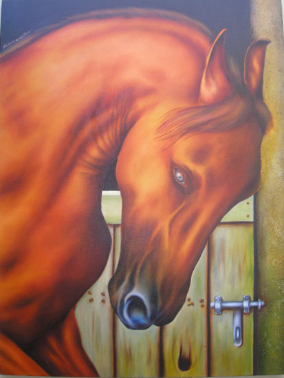 Caballo Akator Oil Canvas Animals