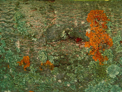 Arbol de otoño