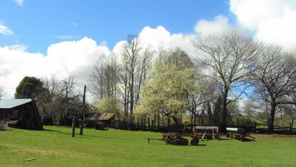 El Campo