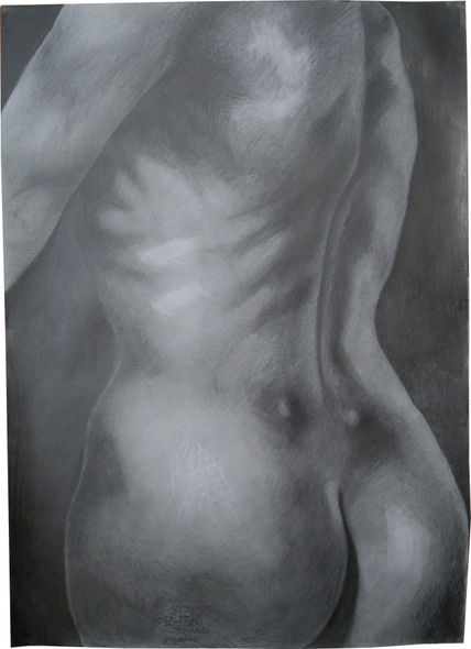 Torso