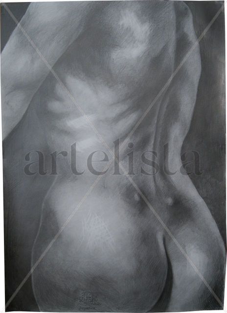 Torso
